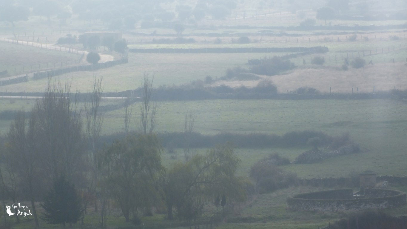 Paisaje con el caño entre la niebla