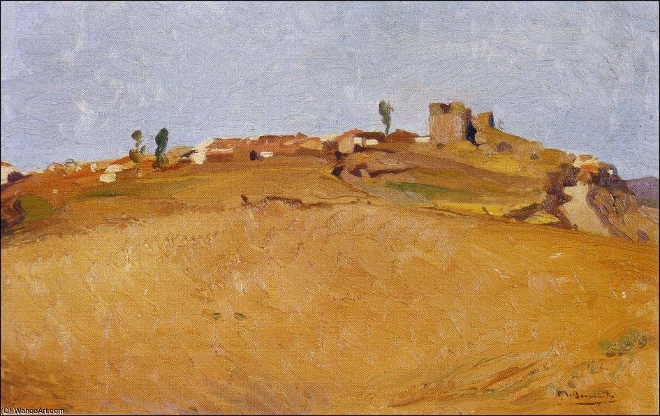 Salvatierra de Tormes: vista del caserío